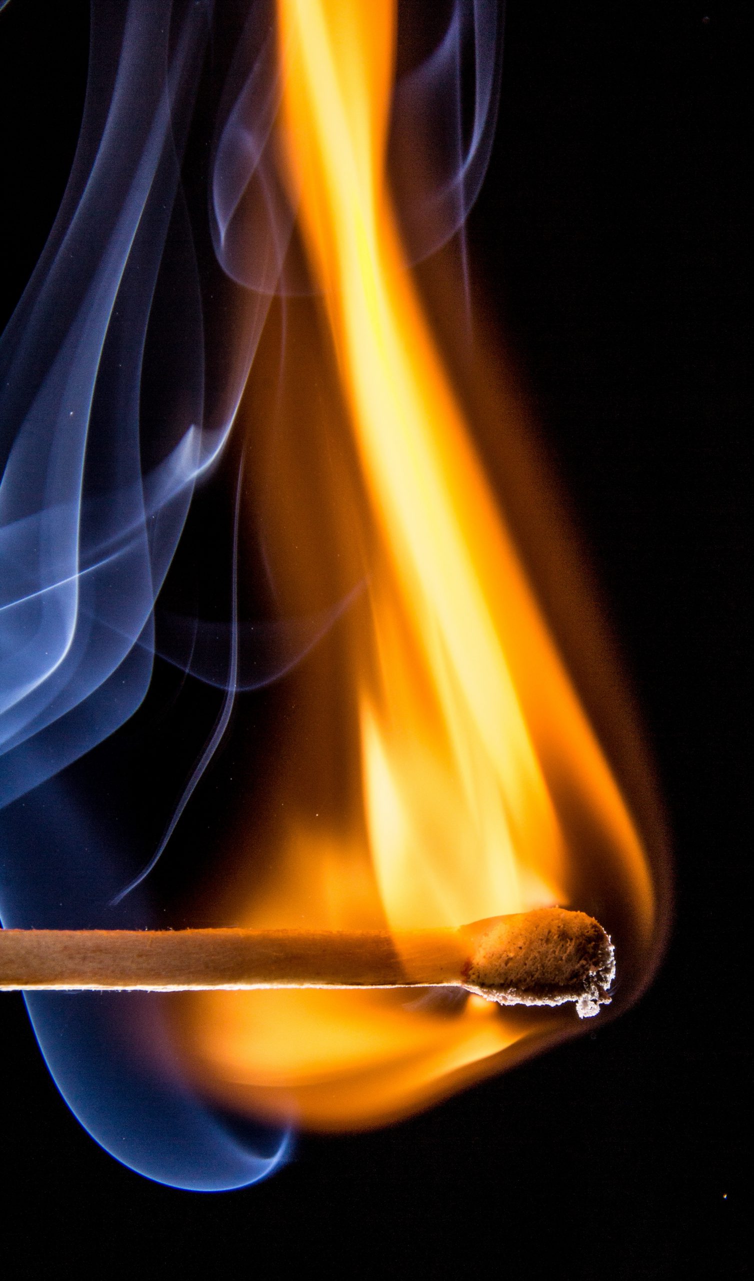 Canva - Lit Match Burning